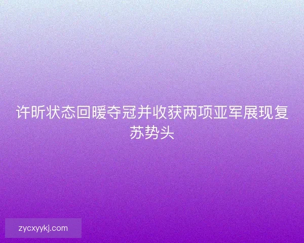许昕状态回暖夺冠并收获两项亚军展现复苏势头