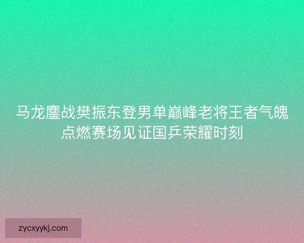 马龙鏖战樊振东登男单巅峰老将王者气魄点燃赛场见证国乒荣耀时刻 马龙鏖战樊振东登男单巅峰老将王者气魄点燃赛场见证国乒荣耀时刻